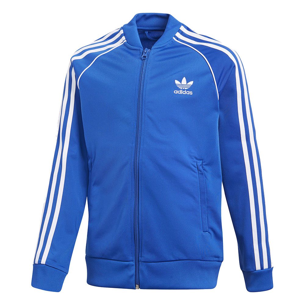 adidas blue suit