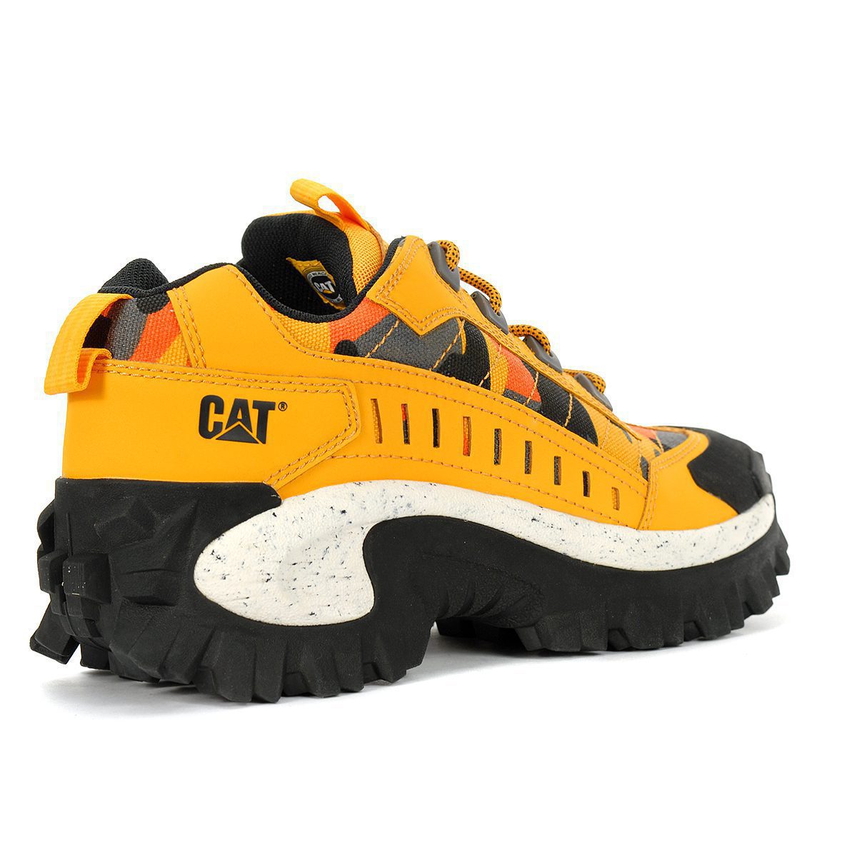 cat intruder shoe