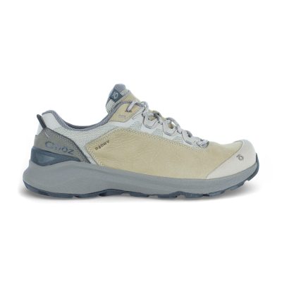 Oboz Men's Cottonwood Low Hawk Hiking Shoes 78201.10313